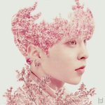 [시우민] ** 연검 정화 **