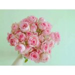 [드루와] <b>향수</b>추천좀해줘^0^