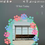 [이삐] 이삐들 콘서트 때 있잖아