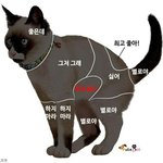너네 <b>단점</b> 말하고가!!..
