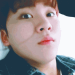 [세븐틴] 팬톡정화<b>요정</b>