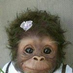 <b>뷰러</b>+마스카라의 중요성!>.<