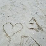 [세븐틴] 사랑스럽고 사랑이고 예쁘고 아름다운 <b>캐럿</b>덜