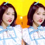 [육성재조이] 애기조이
