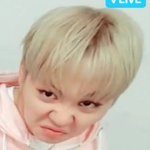 [세븐틴] ㅅㄷ 안자는 <b>캐럿들</b> 짤파티각?