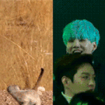 [방탄소년단] <b>미어</b>슙 보구가