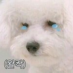 [조언부탁해] 이럴땐 어떻게 해야돼??
