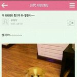 우울할때 초콜릿 효과있는듯