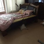 [드루와] <b>침대</b> 밑에 섹시한 궁둥이