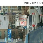 [실제상황] 개 사이다 내 마눌