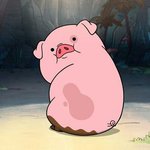 너네 이 돼지 알아?