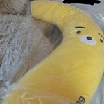 얘 귀엽지 않냐