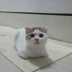 [댓글부탁해] <b>김은진</b>이라는 이름어떰