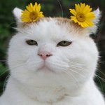 학원<b>간당</b>께