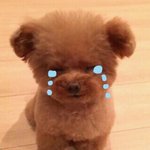 [조언부탁해] 친한 친구가 정말 두서없이 말해서 전화하기 너무 싫어...