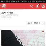 진짜 별 이상한애 <b>다보</b>네 ㄹㅇ