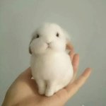 [EXO] 아 ㅅㅂ 이거 ㅈㄴ 김준면 아니냐?