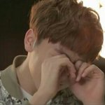 [세븐틴] 니네 지관동에 <b>벌레</b>안생겼니...??