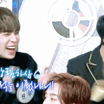 [세븐틴] 너네 <b>부산</b> 앞바다 가봤어??