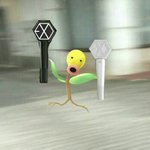 [EXO] <b>가치</b>가요욥 카옹차트!