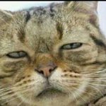 안 자는 애들아 뭐 할 거 없냐