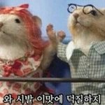[EXO] ㅅㅂ 엑소조카 너무조아 ㅅㅂ