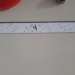 [댓글부탁해] <b>소화전</b>에 이상한게 적혀있어..