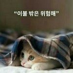 [드루와] 군대갔다온 사촌오빠