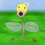 [조언부탁] 아슈12발 좀전에 예쁜사진공유하자는 게시글<b>본</b><b>뒤</b>로