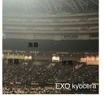[댓글부탁해] 엑소 돔콘서트 다녀온 일본인들 반응.jpg