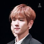 [백현] e<b>데일리</b> 백현이 고화질