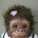 [드루와] 메리의 <b>pretty</b>한 hand공개^^*