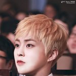 [시우민] 오늘 탐라와 최애<b>돌</b>을 뒤덮은 시우민사진