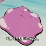 [드루와] 부산사는판녀들 센텀신세계근처 놀곳이 뭐있을까?