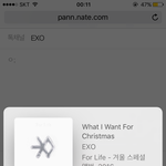[EXO] 이 위로 <b>허쉬</b>언급 타어겨털과 결혼╰(*´︶`*)╯
