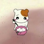 [댓글부탁해] 렌즈 <b>직경</b> 좀 물어볼게!