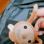[EXO] 강아지는 안키우고 뉴비키움