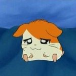 [조언부탁해] 쌍수가 너무하고싶어