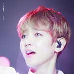[EXO] ㅁㅊ이거 <b>엘프</b>나라에서 온줄