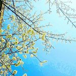 [댓글부탁해] 자기 <b>인생사진</b> 보여주자!