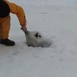 [댓글부탁해] 5000<b>원대</b>인 블러셔랑 틴트 추천좀!!!!