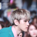[EXO] 뜬금인데 변백현 <b>코</b> ㅈㄴ이쁘지않냐?