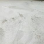 [EXO] 종아리털 <b>밀고</b>왔다