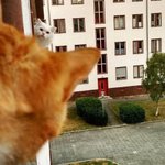 [조언부탁해] 얘드라 친구랑 약속잡았는데 <b>변명</b>좀...ㅠ