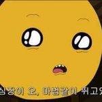 [ㅋㅋㅋㅋㅋ] 얘ㅐ들ㄹ아 나 <b>지그</b>ㅡㅁ귀이ㄱㅐ로 카자치는 중