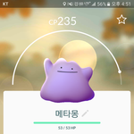 흐어엉나<b>메타</b>몽잡았어ㅠ