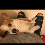 [댓글부탁해] 옾챗에서 이모티콘 도배하는거 관<b>종임</b>?