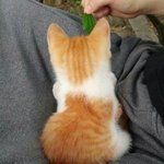 쌍수할때 <b>양말</b>벗고함??
