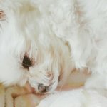 [EXO] 또 갖고왔으