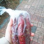 [EXO] ㅆㅂ 고구마 들고 성당 간다ㅅㅂ